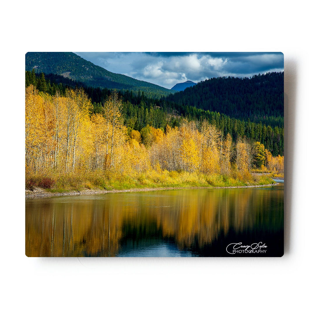 Fall colors along the Middlefork of the Flathead river 8X10 Metal Print