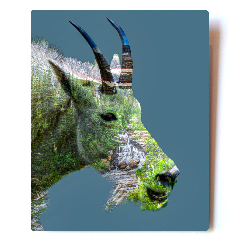 Mountain Goat Double Exposure Metal Print
